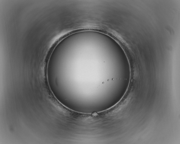 X0000111851222200907231421