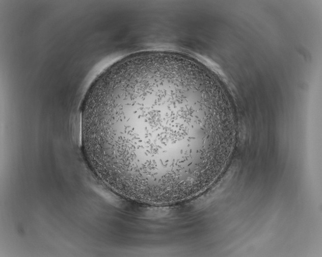 X0000111851223200907231421