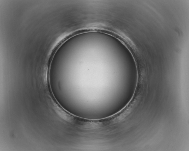 X0000111851224200907231421