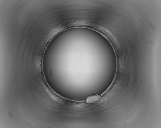 X0000111851225200907231421