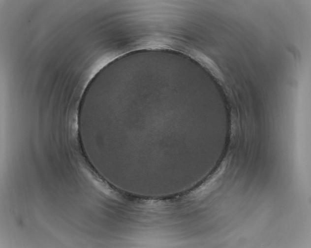 X0000111851226200907231421