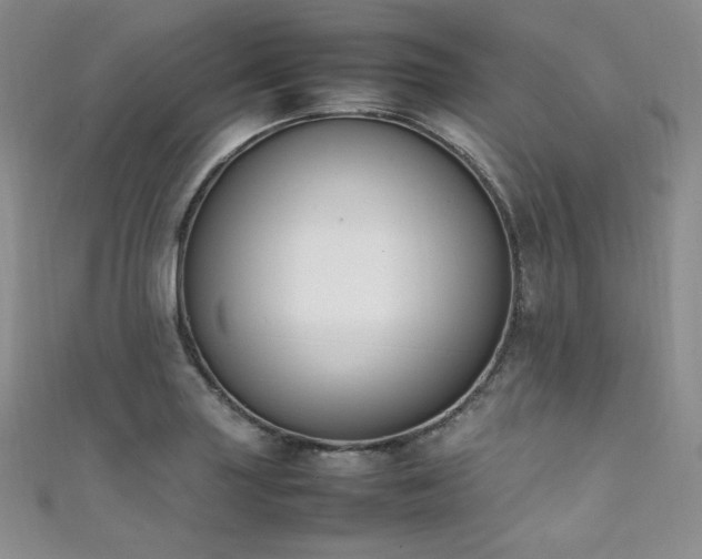 X0000111851227200907231421