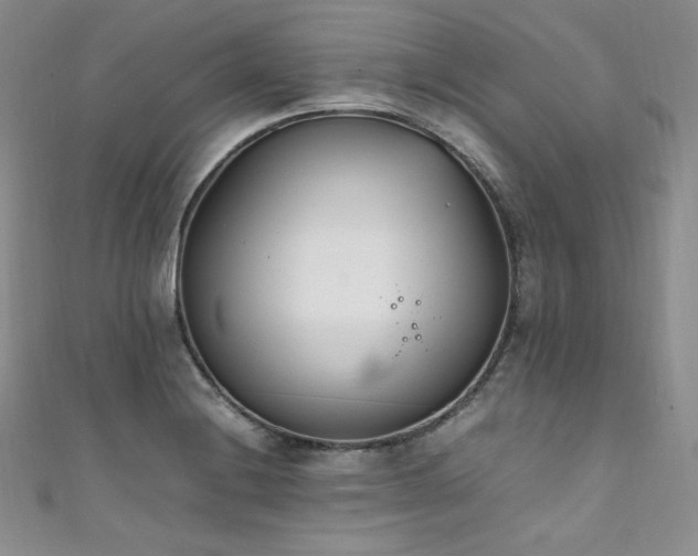 X0000111851228200907231421