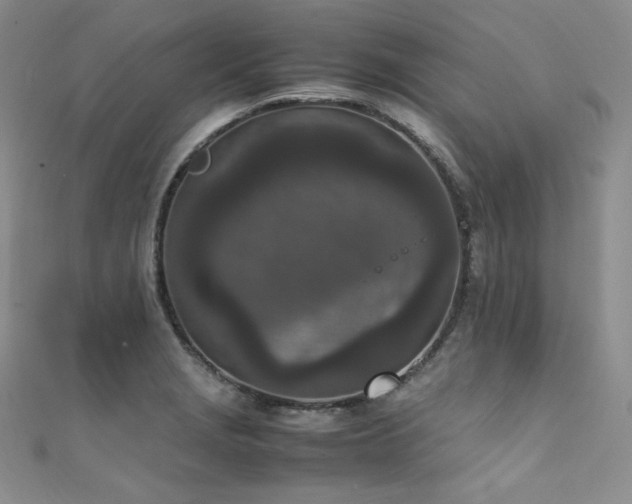 X0000111851229200907231421