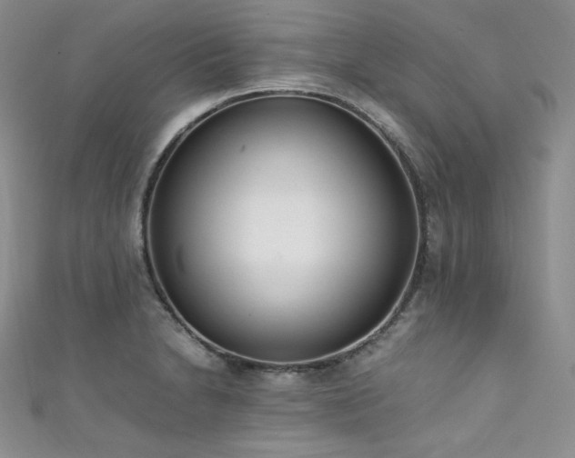 X0000111851230200907231421