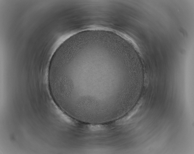 X0000111851231200907231421