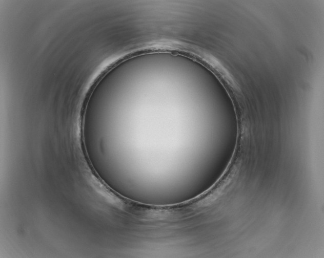 X0000111851232200907231422