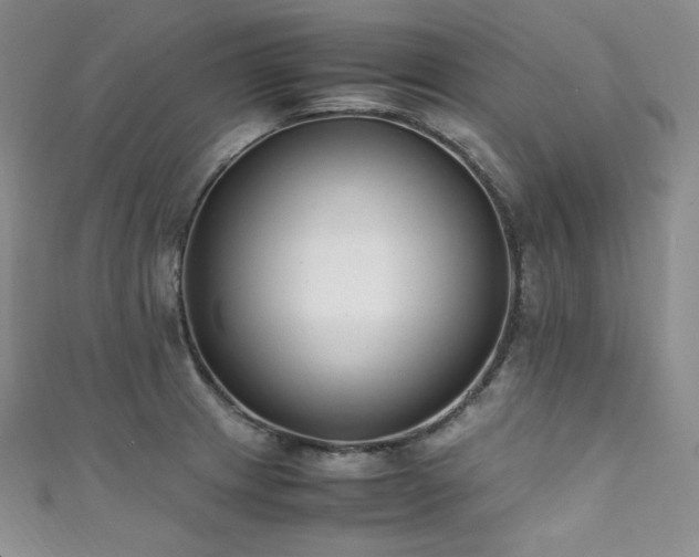 X0000111851233200907231422