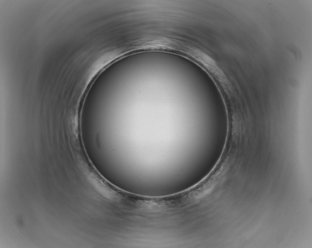 X0000111851234200907231422
