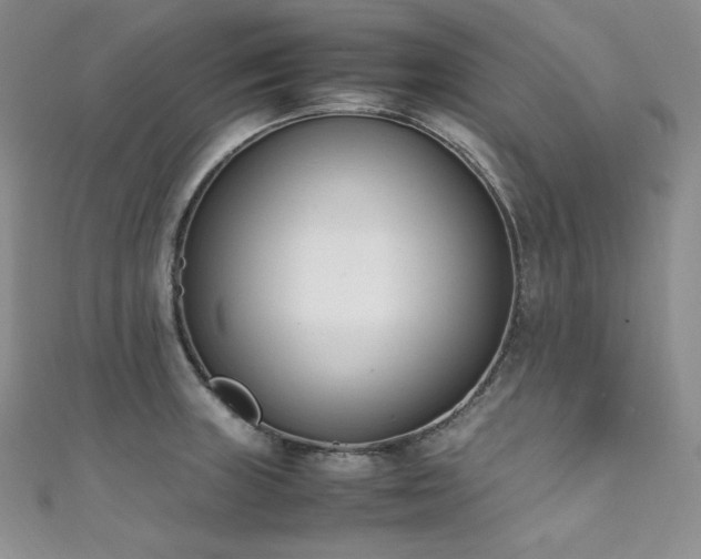 X0000111851235200907231422