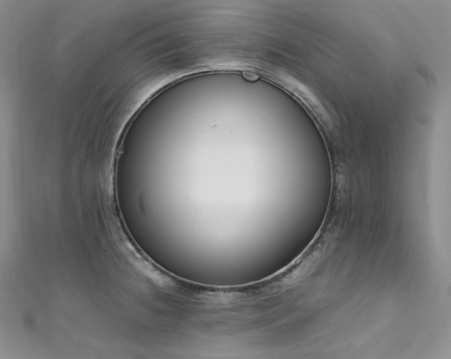 X0000111851236200907231422