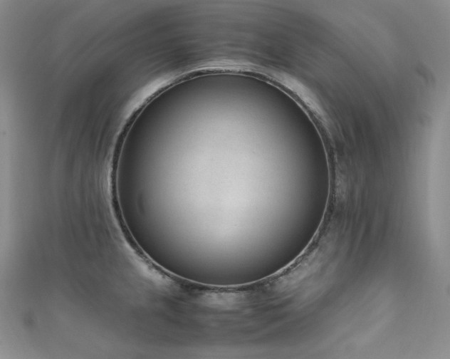 X0000111851237200907231422