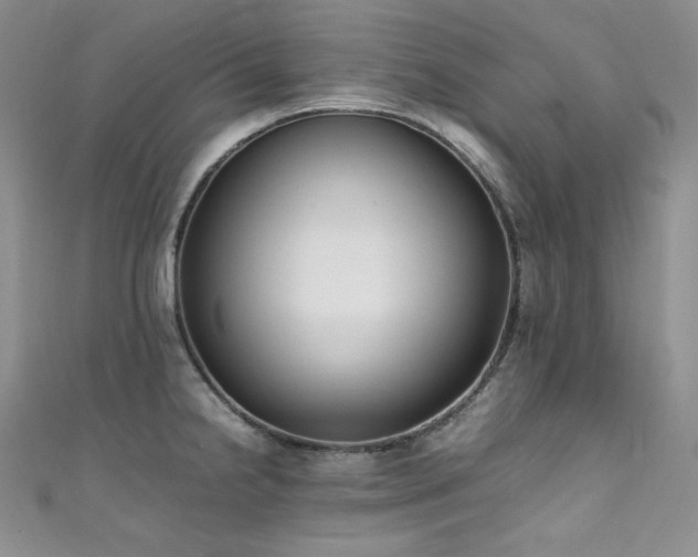 X0000111851238200907231422