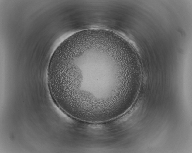 X0000111851239200907231422