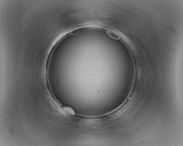 X0000111851240200907231422
