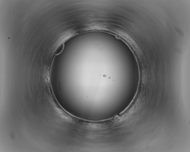 X0000111851241200907231422
