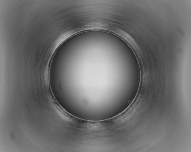 X0000111851242200907231422