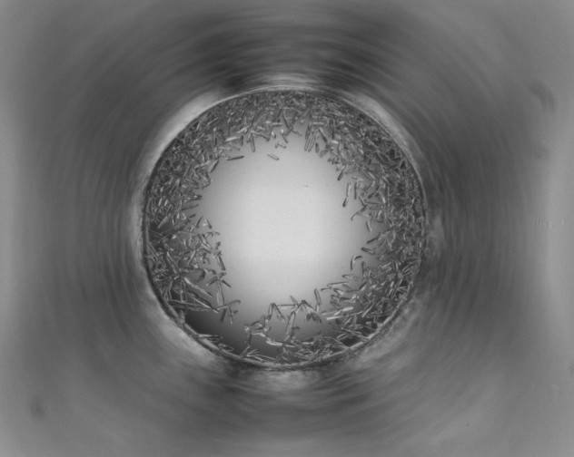 X0000111851243200907231422