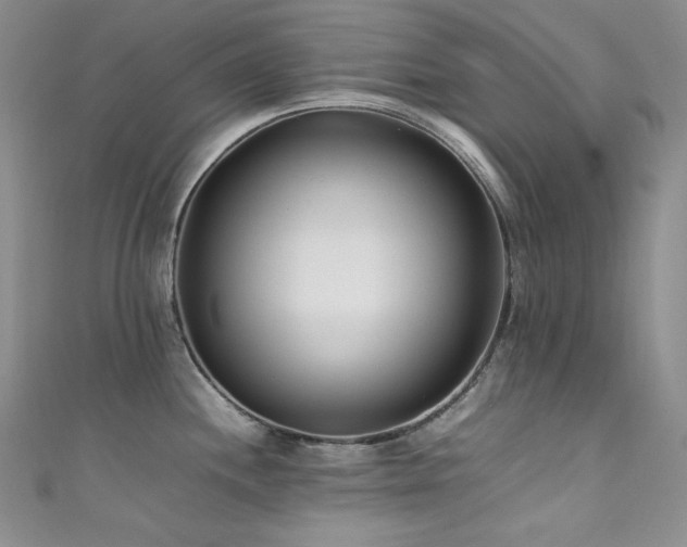 X0000111851244200907231422