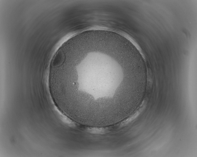 X0000111851245200907231422