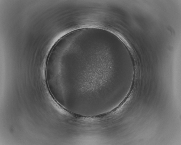 X0000111851246200907231422