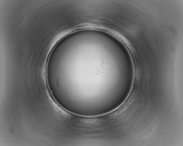 X0000111851247200907231422