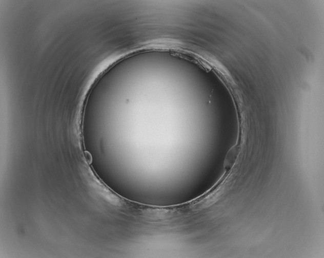 X0000111851248200907231422