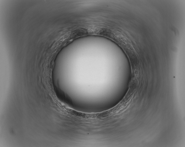 X0000111851249200907231421
