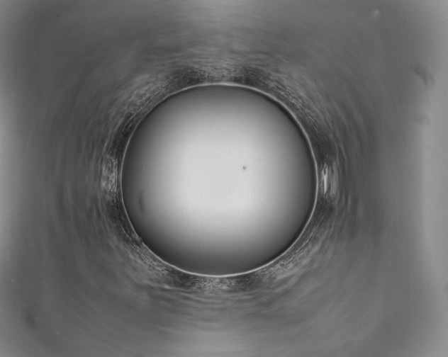 X0000111851251200907231421