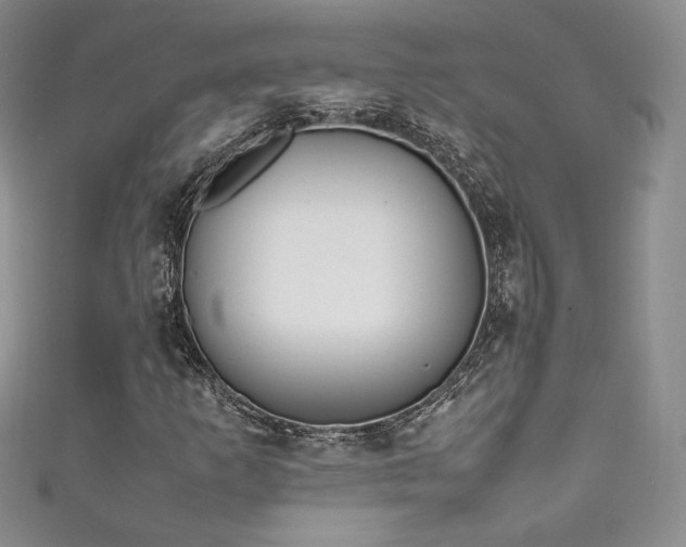 X0000111851253200907231421