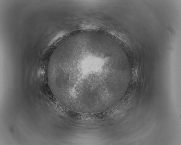X0000111851254200907231421