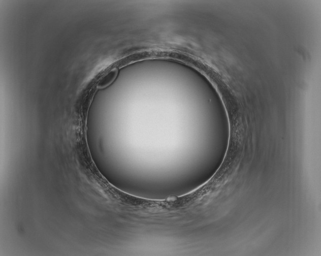 X0000111851255200907231421