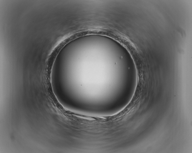 X0000111851256200907231421