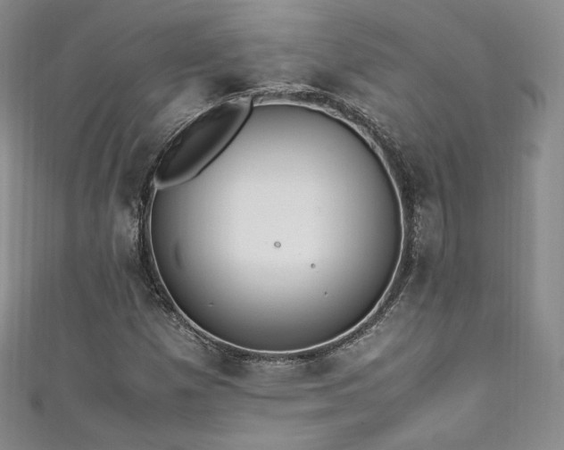 X0000111851257200907231421