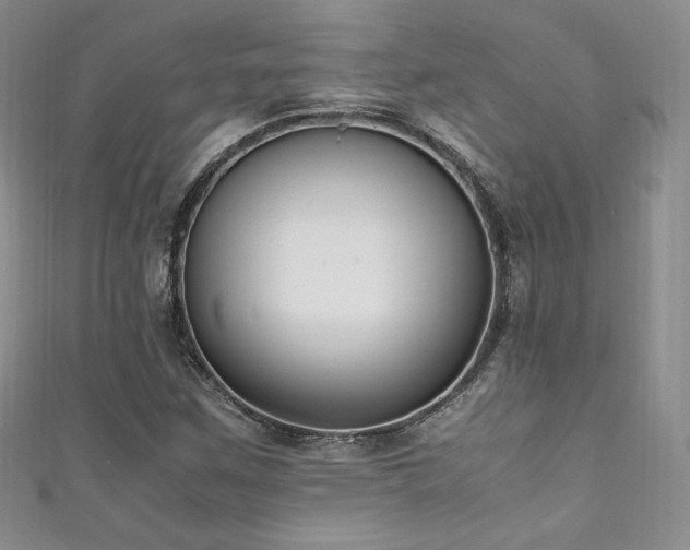 X0000111851259200907231421