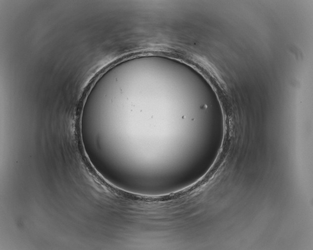 X0000111851260200907231421