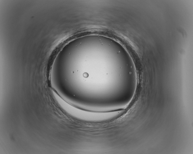 X0000111851261200907231421