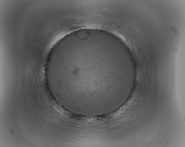 X0000111851263200907231421