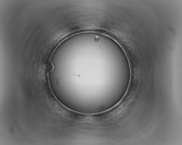 X0000111851265200907231421