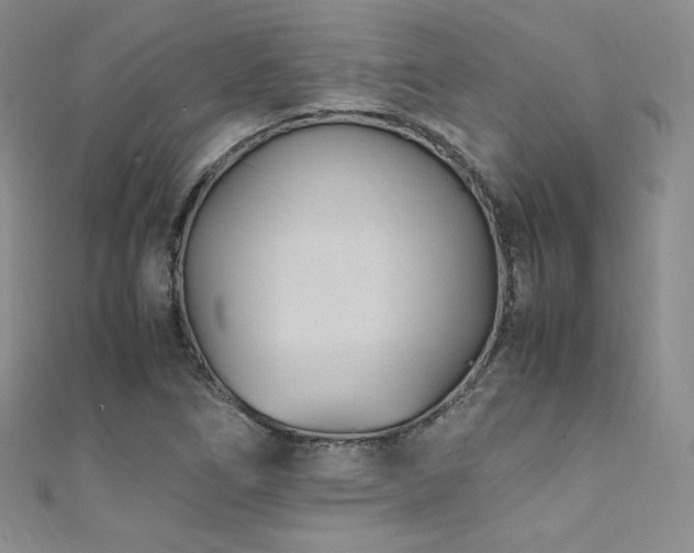 X0000111851266200907231421