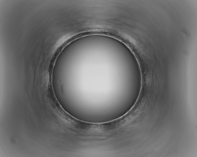 X0000111851267200907231421