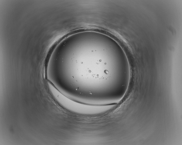 X0000111851269200907231421