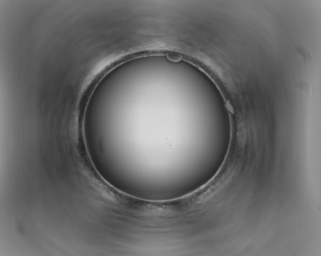 X0000111851270200907231421