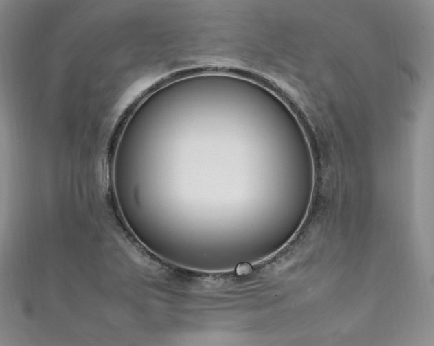 X0000111851271200907231421