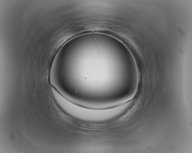 X0000111851273200907231421