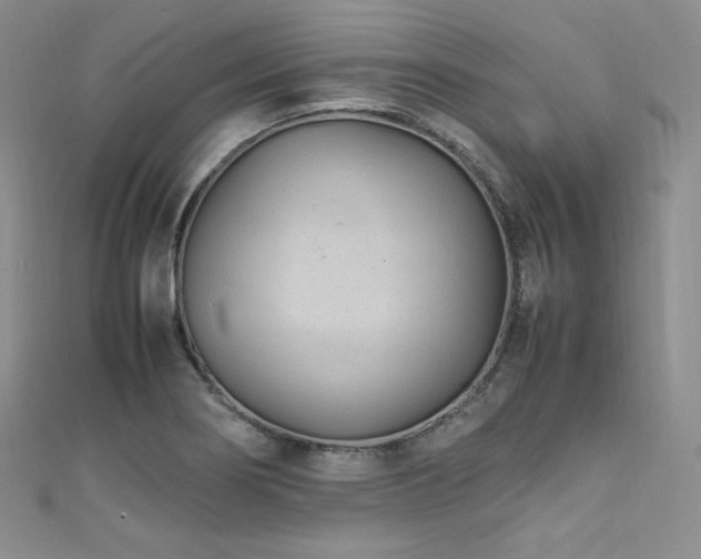 X0000111851274200907231421