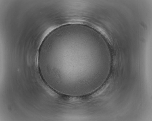 X0000111851275200907231421