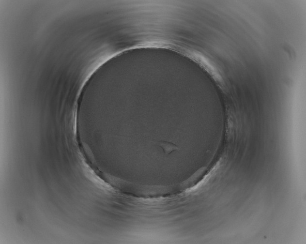 X0000111851276200907231421