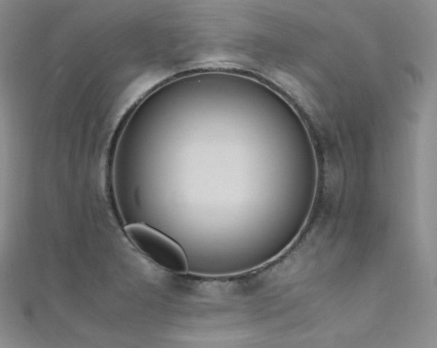 X0000111851277200907231421