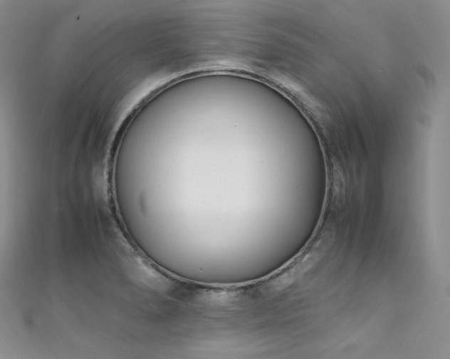X0000111851278200907231421